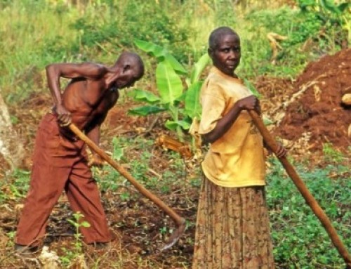 Burkina Faso : un projet pour accélérer la transformation du secteur agricole