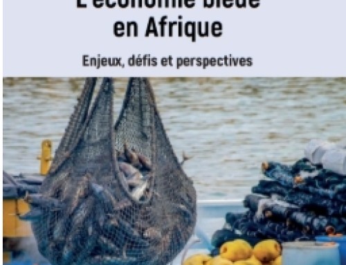 Publication: « L’économie bleue en Afrique. Enjeux, défis et perspectives », un ouvrage majeur