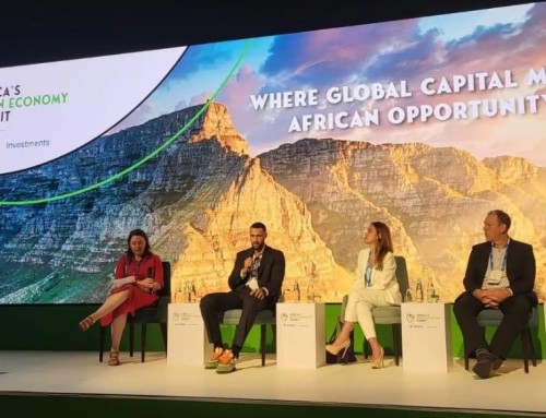 Sommet africain de l’économie verte : l’intensification des investissements