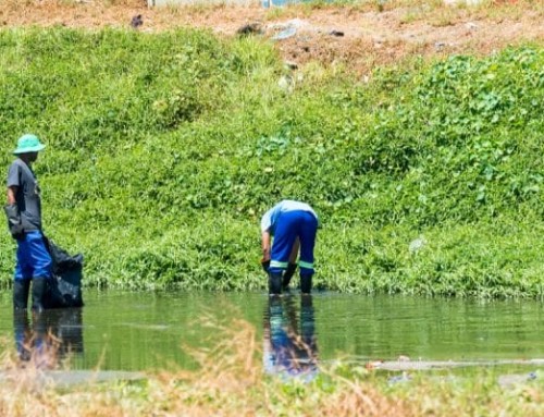 Burkina Faso: des solutions locales et concrètes face au changement climatique